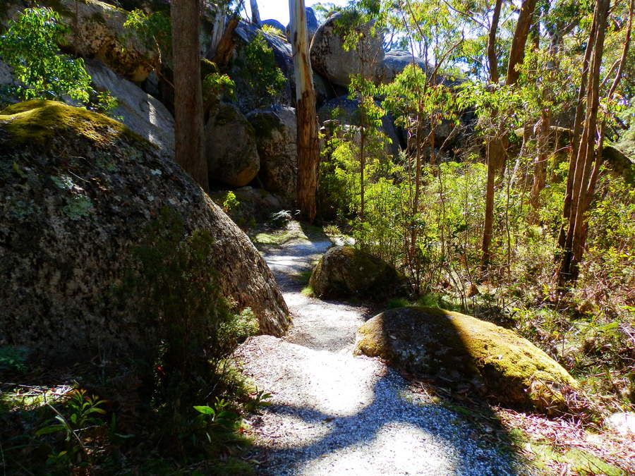 Bald Rock Climb see Australia's Biggest Granite Monolith